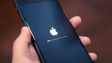 bypass Apple