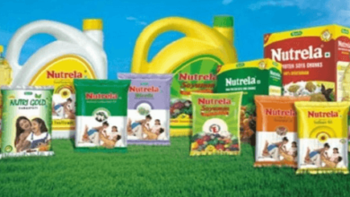 rajkotupdates.news : ruchi soya to be renamed patanjali foods company board approves stock surges