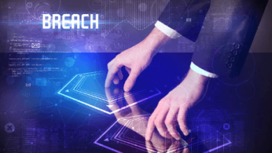 The Impact of a Data Breach on Individuals and Companies