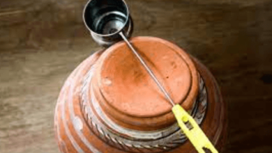 wellhealthorganic.com:some-amazing-health-benefits-of-drinking-water-from-an-earthen-pot