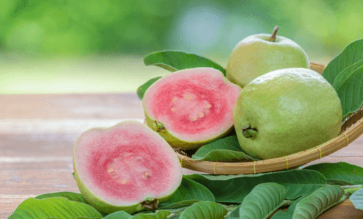 wellhealthorganic.com:5-amazing-health-benefits-of-guava