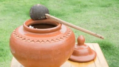 wellhealthorganic.com : health-benefits-of-an-earthen-pot