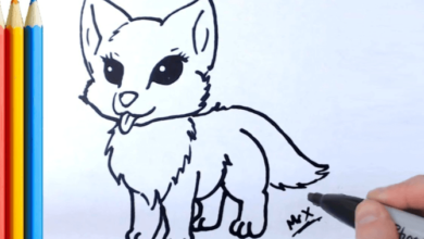 Drawing:El5lvtvvu6c= Cute:4qrwp3_Rxcq= Wolf