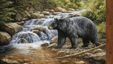 Bear Wall Art : Amazon.Com - B0992qqvn7