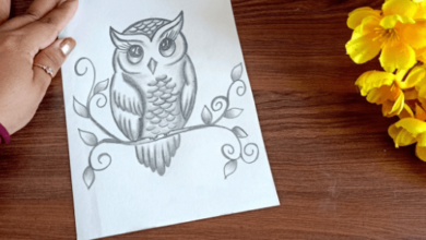 Art:8d3vxybkwti= Drawing:Lfgxzvm9-R8= Owl