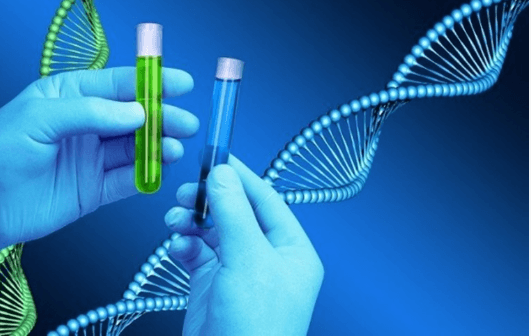 Learning Through Art: Dna Profiling