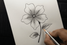 Drawing:Pjobt7qaiiy= Easy:3epqjdq937o= Flower