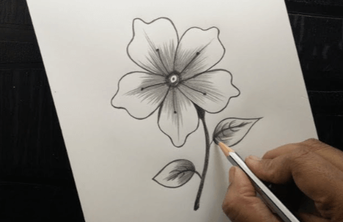 Drawing:Pjobt7qaiiy= Easy:3epqjdq937o= Flower