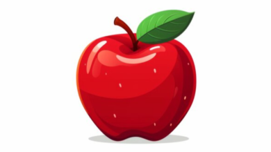 Clipart:Kptnpg_7hxw= Apple