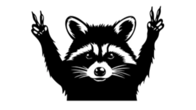 Clipart:Gds0bimhyta= Raccoon