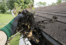 Gutter Cleaning Services