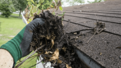 Gutter Cleaning Services