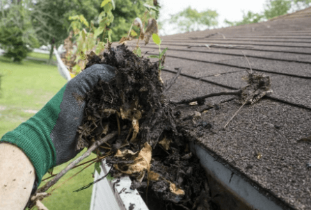 Gutter Cleaning Services