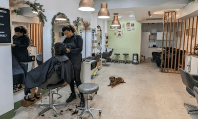 Hair Salon Services