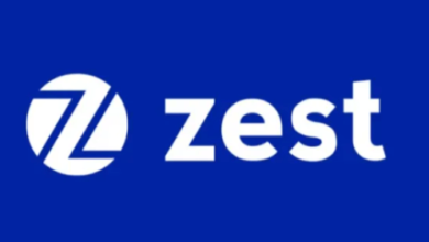 Bengalurubased Zestmoney Goldman Sachsbacked 130M 450msinghtechcrunch