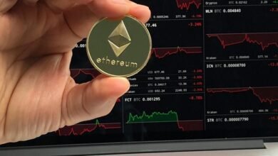 blockchain contacts for insights