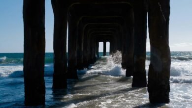 latest posts on 21strongfoundation org