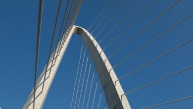 support center phone number