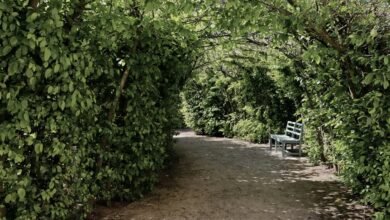 another trail to follow