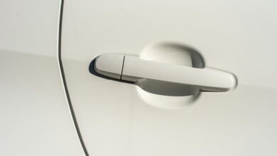questionable handle with pests