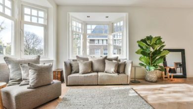 The Impact of Window Replacement on Interior Aesthetics