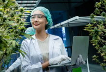 The Green Revolution of Dispensary Cannabis