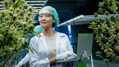 The Green Revolution of Dispensary Cannabis