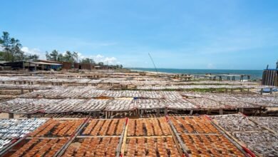 apex horizon start unlocking potential