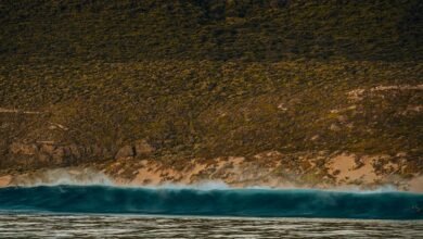 catalyst wave driving potential