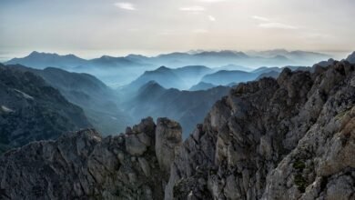 elevation flow start shaping next level horizons