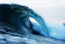 fusion wave driving transformative leadership