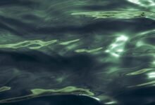 luminous wave fuels potential