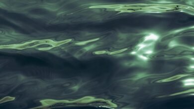 luminous wave fuels potential