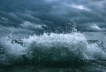 momentum surge start driving market excellence