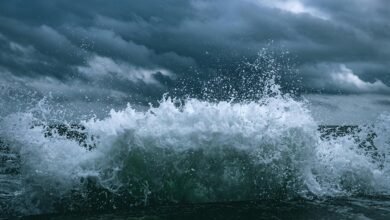 momentum surge start driving market excellence