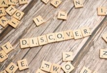 app service discovery portal
