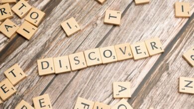 app service discovery portal