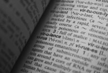 cultural keyword research hub