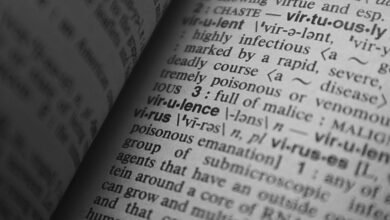 cultural keyword research hub