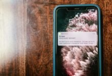fraud detection scammer phone validation