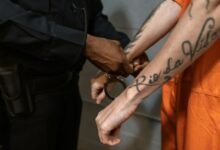 recidivism and criminal law queries