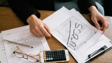 scam investigation insight portal