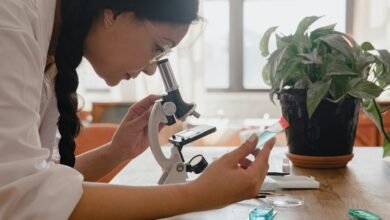 scientific keyword discovery hub explanation