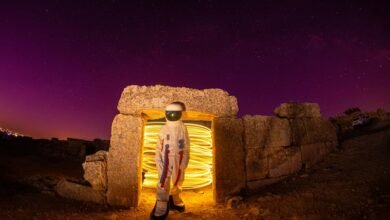 social username discovery portal identity lookup