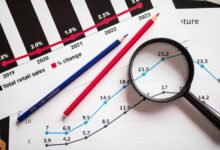 social username discovery portal revealing profile lookup trends