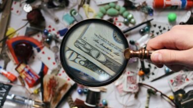 access verified registry findings for given ids