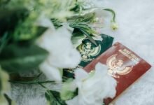 browse verified registry listings ids