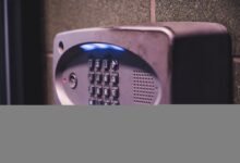 public number registries queried