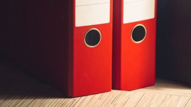 registry intelligence file identifiers listed for review