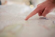 registry search findings for specific ids